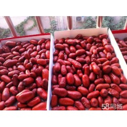 长红枣原产地 手货源批发