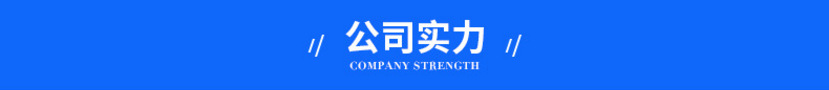 公司实力