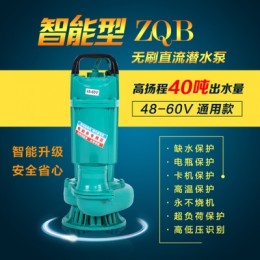 上海人民无刷直流潜水泵农用高扬程48V60V通用电动车2寸3寸4寸