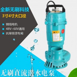 上海人民无刷直流潜水泵农用高扬程48V60V通用电动车2寸3寸4寸