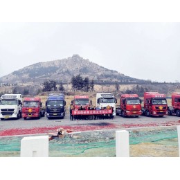 供应从黄岛到张店、淄川、淄博省内专线集装箱运输车队