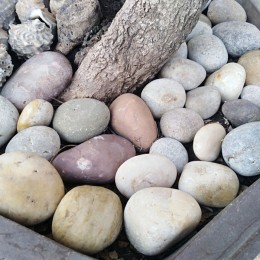 山东厂家热销天然鹅卵石 5-10公分灰色鹅卵石 卵石规格全