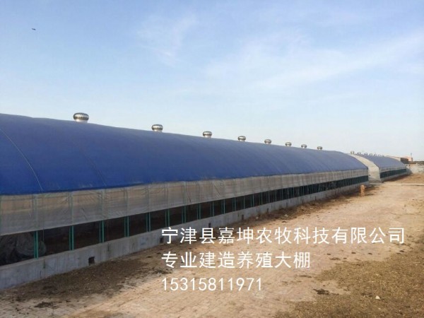 羊棚4_wps图片