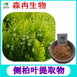 森冉生物侧柏叶提取物扁柏叶提取物现货热销