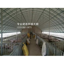 畜牧温室养殖棚拱形温室畜牧大棚 养殖保温大棚