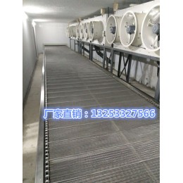饺子速冻库隧道输送机流水线全套设备