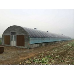 拱形养殖大棚 连栋式畜牧养殖大棚 大棚建造安装