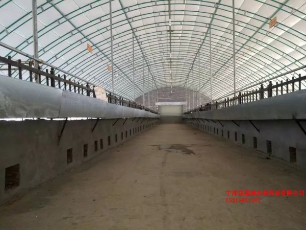 13_wps图片