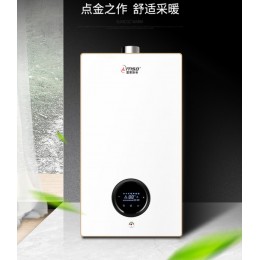 博世之星款 雷蒙斯帝燃气壁挂炉厂家直接诚招各地区代理经销