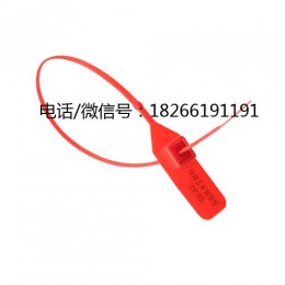 封条标签扎带式