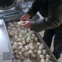 真空包装海鸭蛋杀菌锅 蛋制品杀菌设备