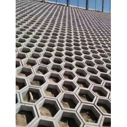 混凝土中空护坡砖模具今日价格