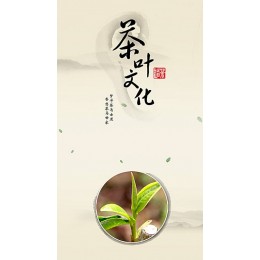 2020北京（国际）茶业及茶艺博览会