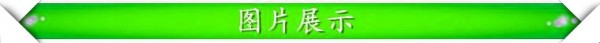 图片展示