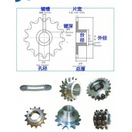 不锈钢齿轮定制大量非标链轮