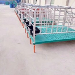 定位栏 限位栏 母猪定位栏 保育床 母猪产床 厂*直销 养猪设备