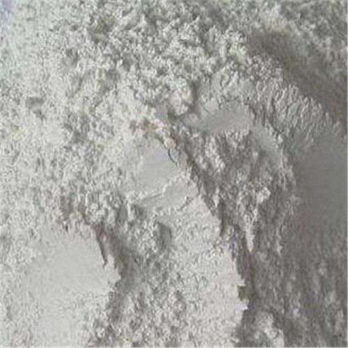 timg (6)_副本_副本