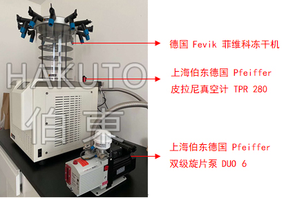 冻干机用旋片泵 DUO6