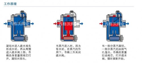 疏水阀981.webp