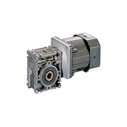 MIKI PULLEY 空心轴变减速机RW mini系列