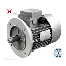 MOTOVARIO 电机M系列-三相及三相刹车电机
