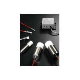 RECHNER 耐高温电容式传感器KXS系列