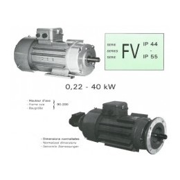 RADIO-ENERGIE 变速电机 FV系列