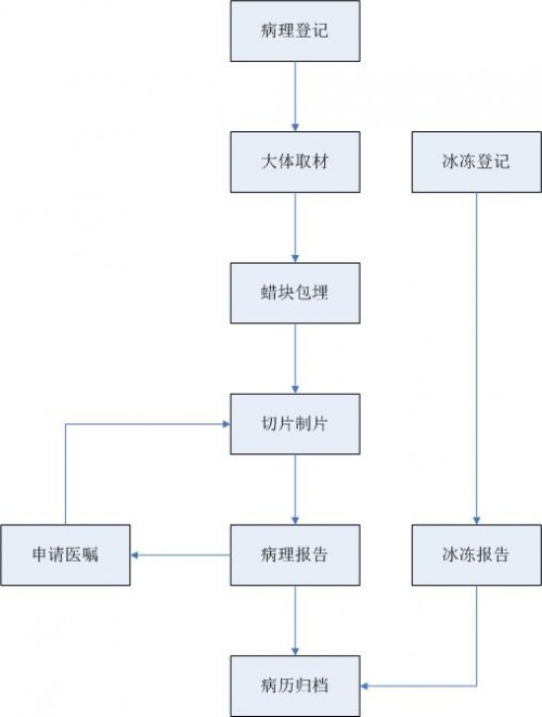 病理系统全流程