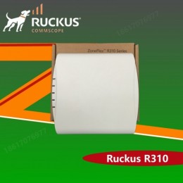美国Ruckus优科r310无线AP 901-R310-WW02