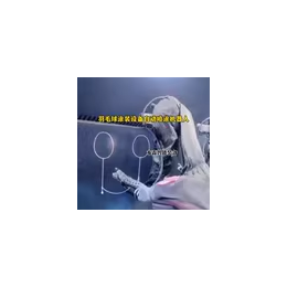 羽毛球涂装设备自动喷涂机器人